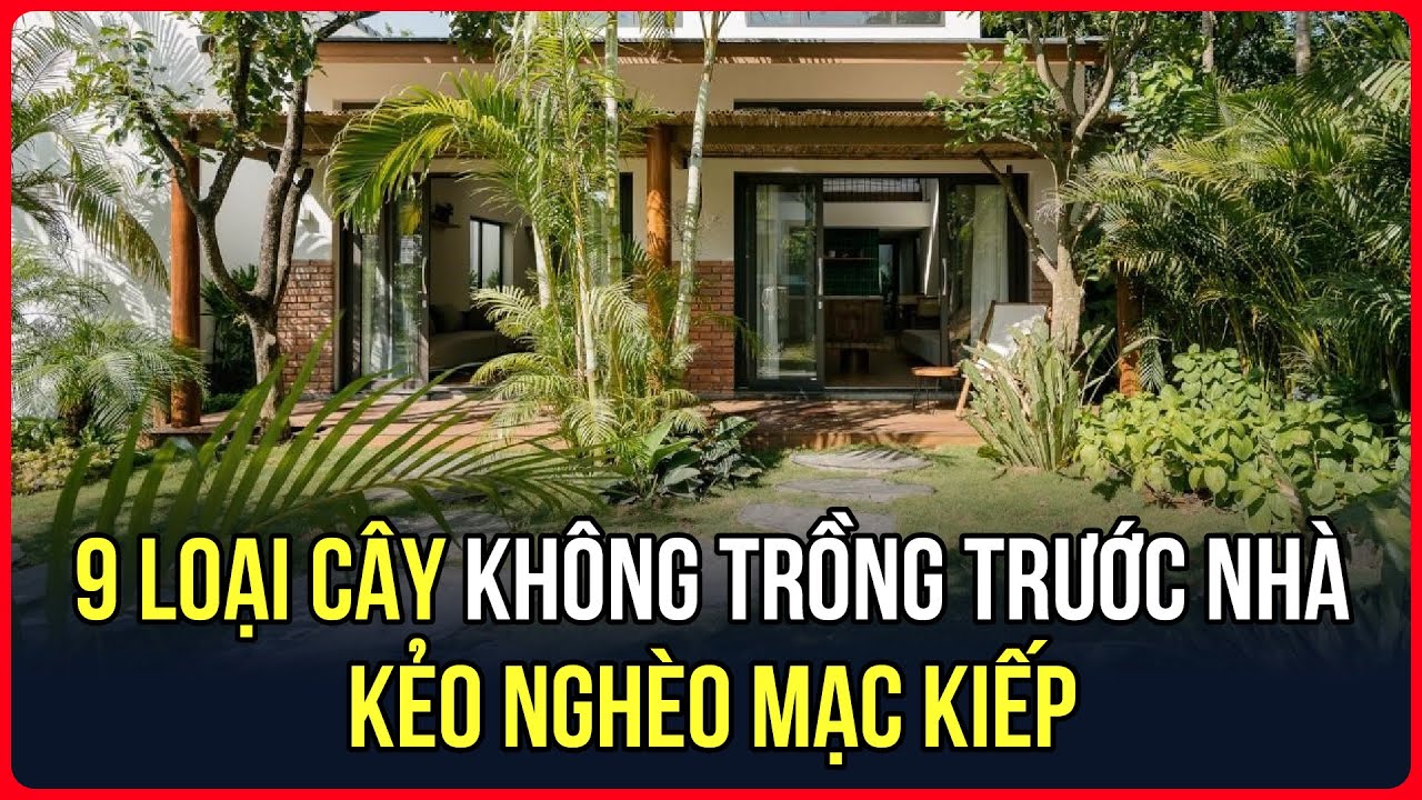 9 LOẠI CÂY kỵ PHONG THỦY không TRỒNG TRƯỚC NHÀ, kẻo NGHÈO MẠC KIẾP