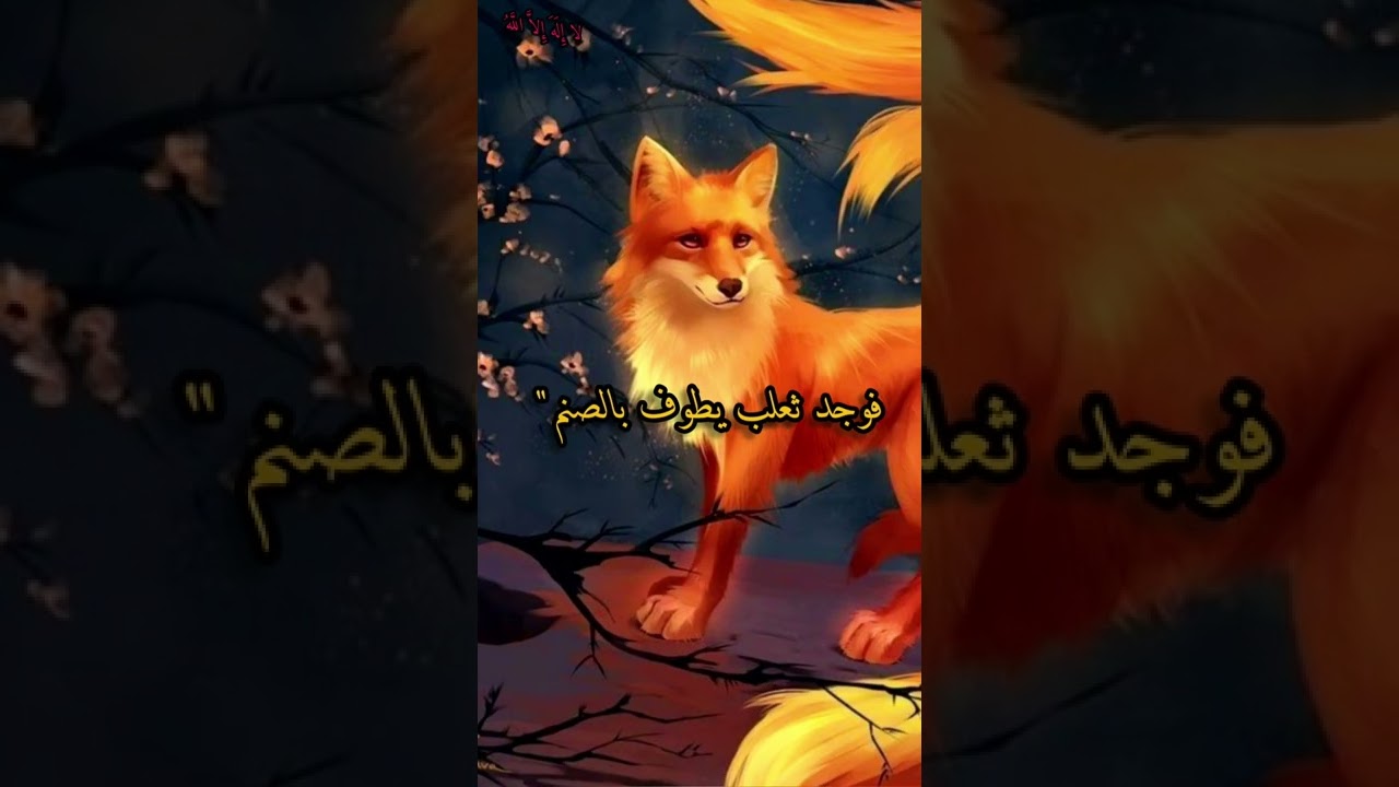 قصة أبو ذر الغفاري... أربٌ يبول الثُّعلبان برأسه…. لقد ذلَّ من بالت عليه الثعالبُ🌺