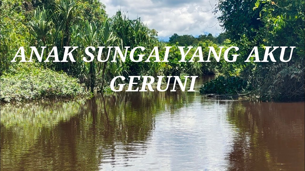 HAMPIR 4 BULAN TIDAK MEMANCING UDANG AKHIRNYA (19.04.25)#29