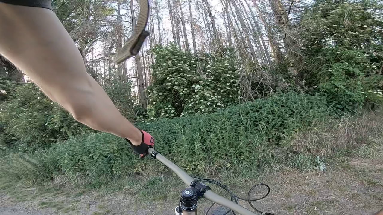 Mit dem Bike nach K&ouml;ln| Panzerstrecke am Flughafen k&ouml;ln GoPro Story