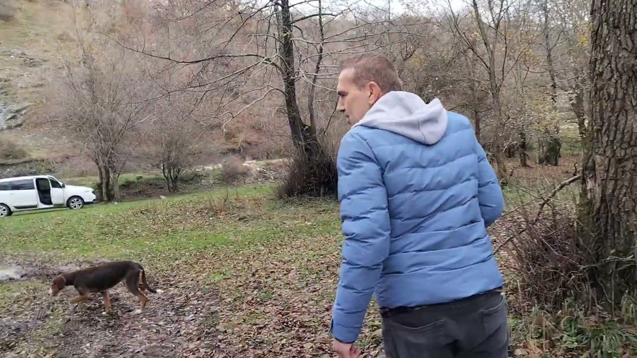 Kırklareli Armağan Köyü Piknik Yeri