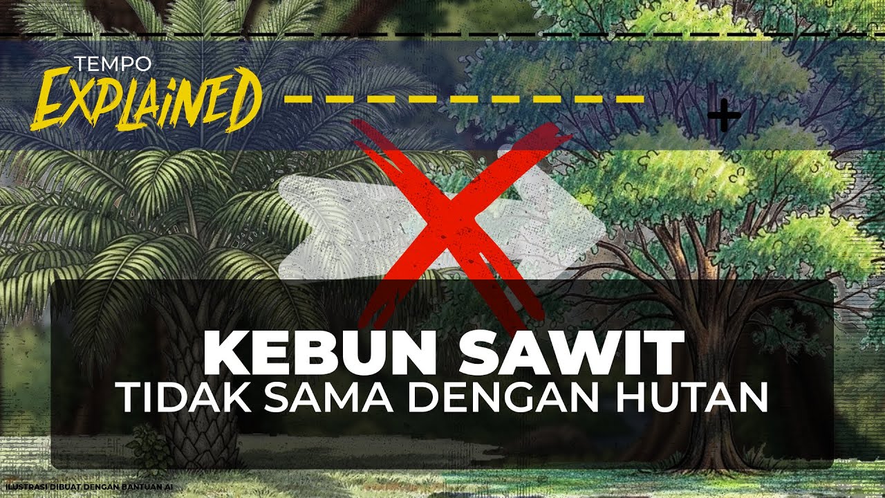 Alasan Mengapa Kebun Sawit Gak Bisa Menggantikan Hutan | Explained