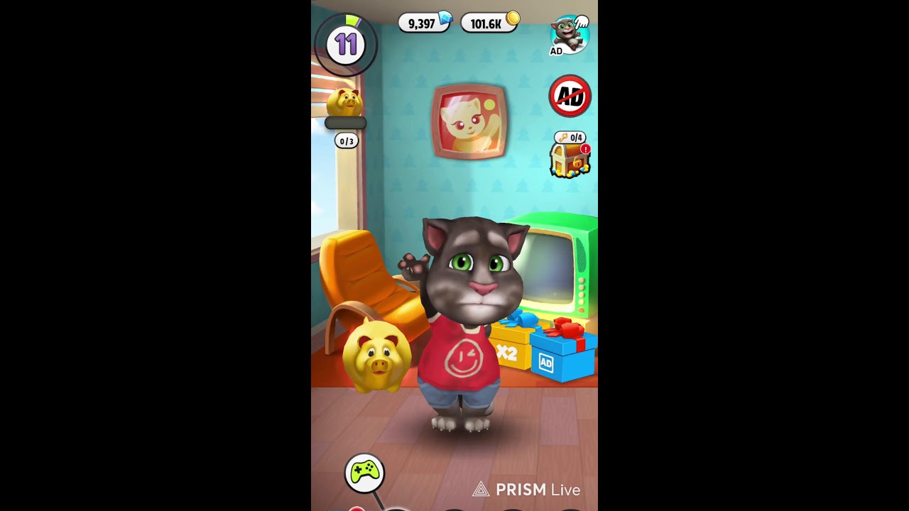 बिल्ली मौसी लाइव है दोस्तों