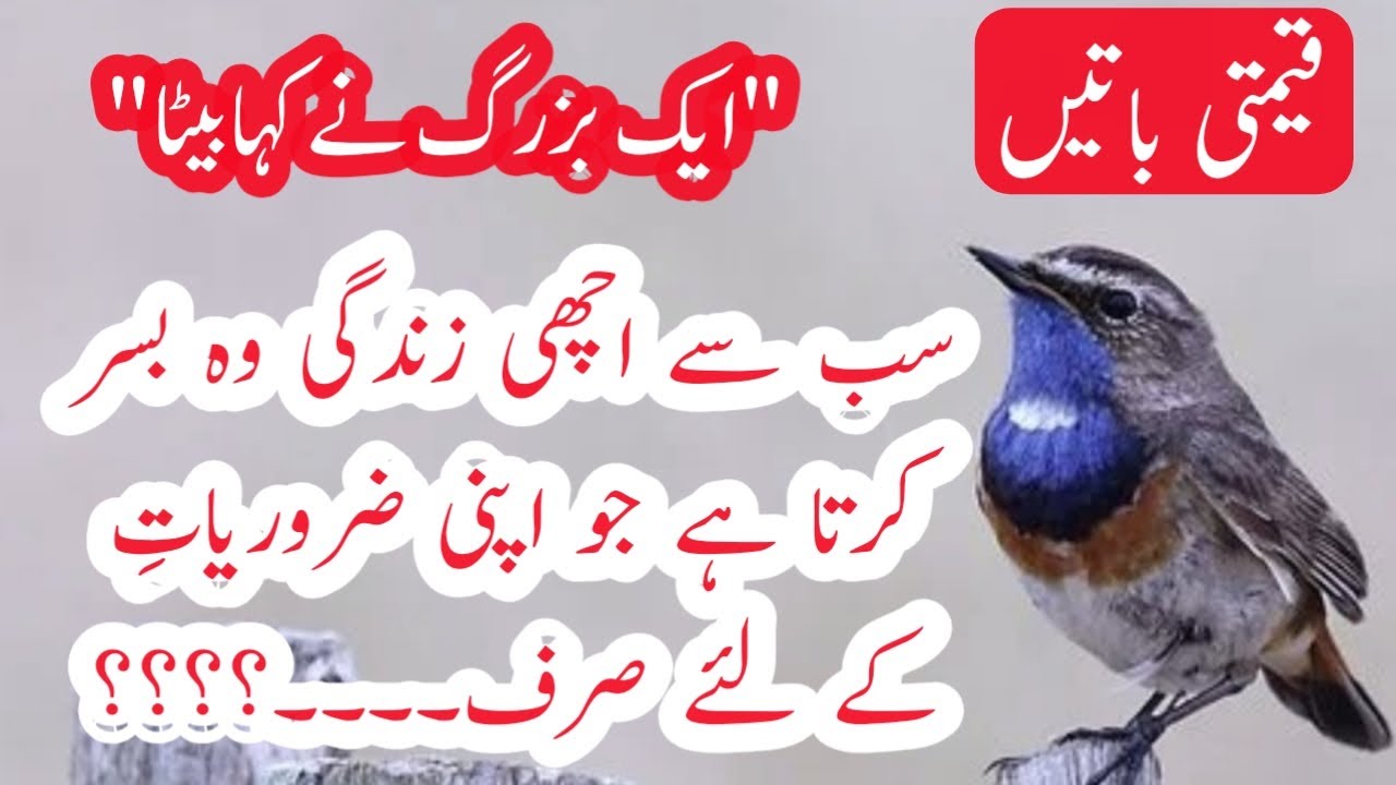 #islamic_quotes_collection_in_urdu  . #qeemtiquotes. #life_changing_motivational_video