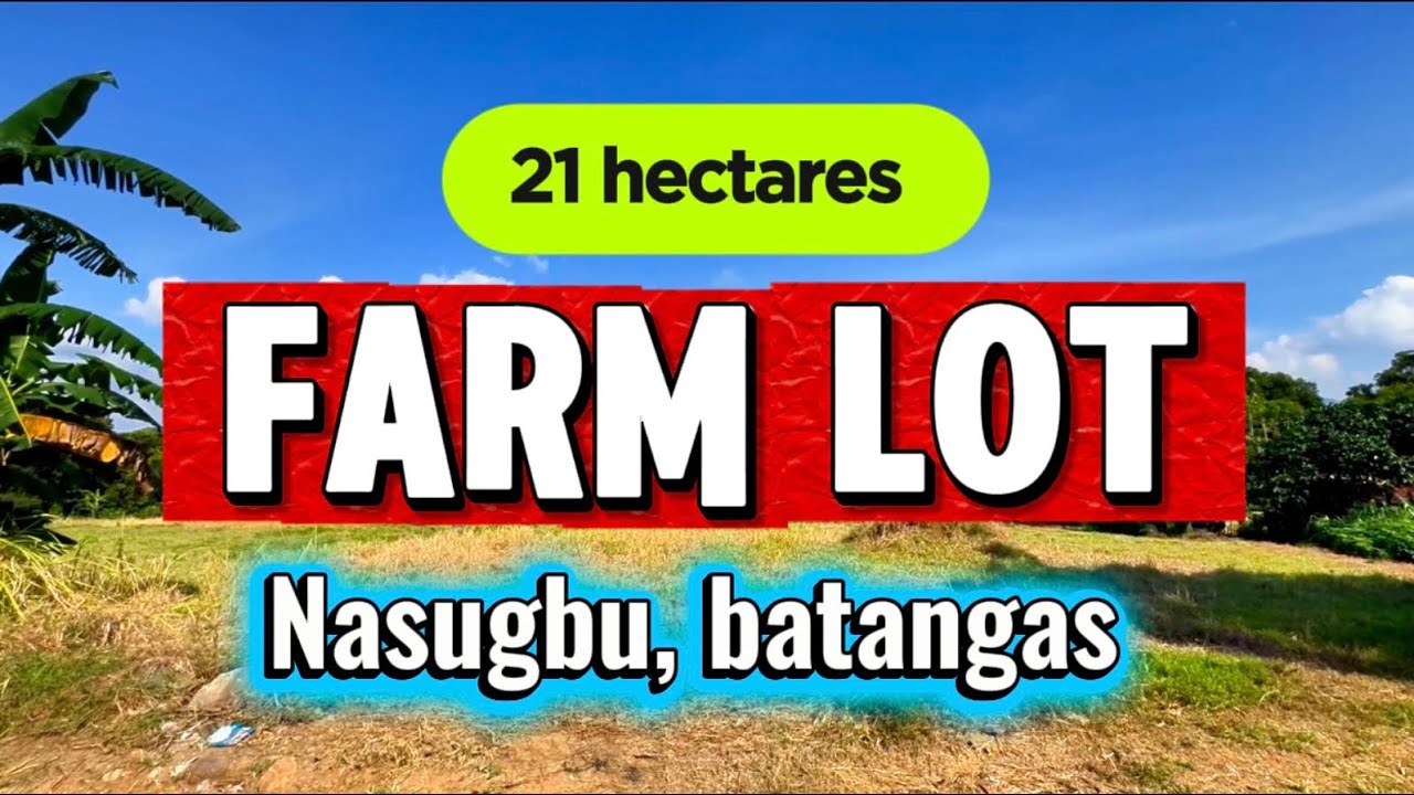 L-658-26 Farm lot 21 hectares with mountain view along barangay road nasugbu batangas