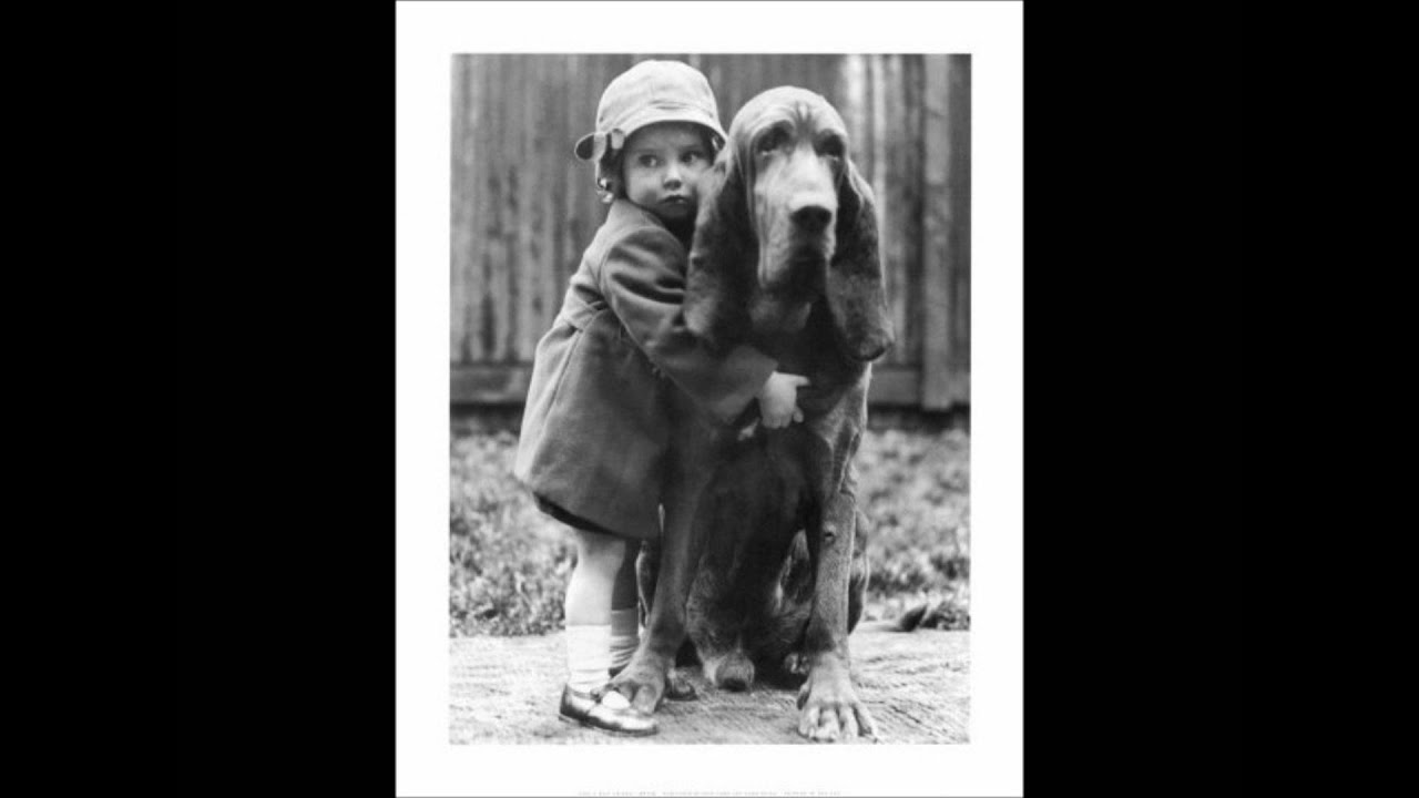 Noisia - Friendly Intentions