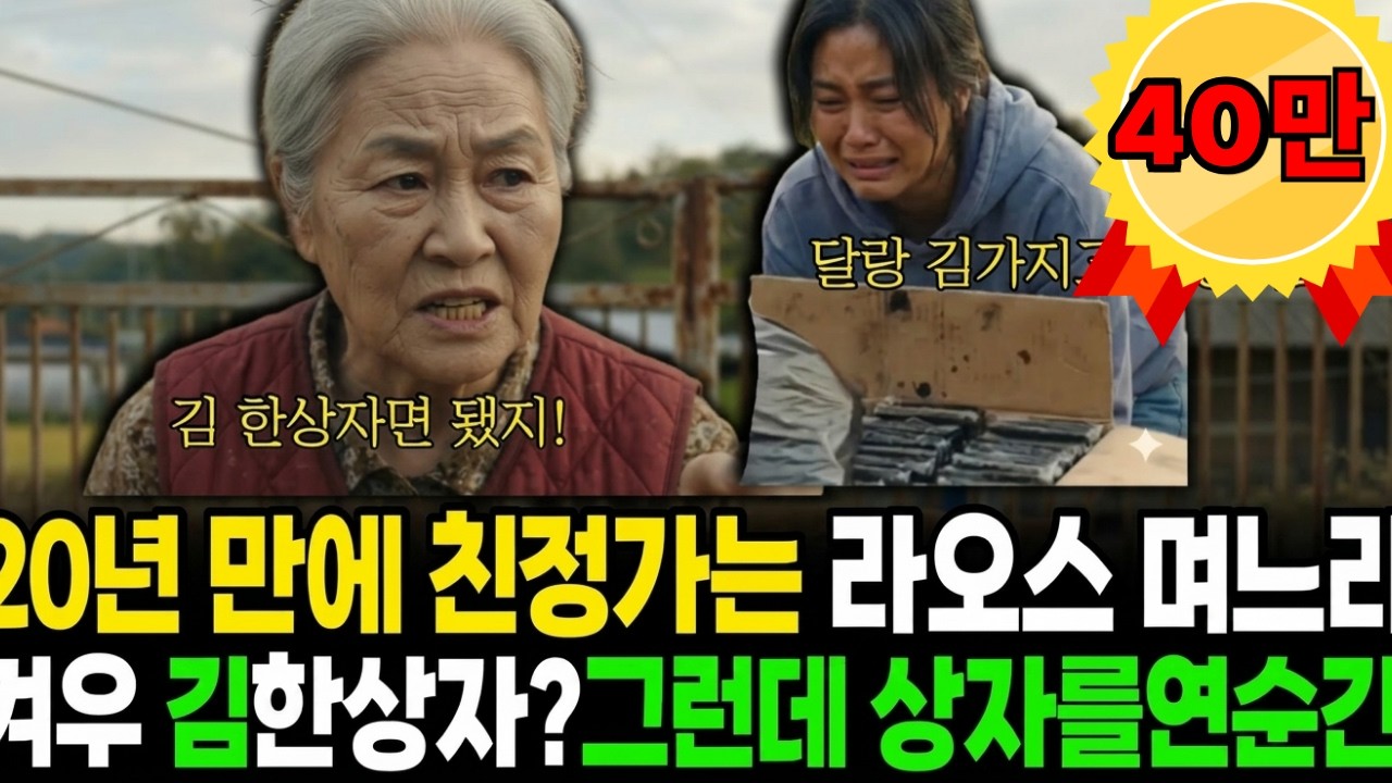 20년 만에 친정가는 라오스 며느리, 달랑 김 한상자? 그런데 상자속에 놀라운 비밀이사연 오디오북 | 감동사연