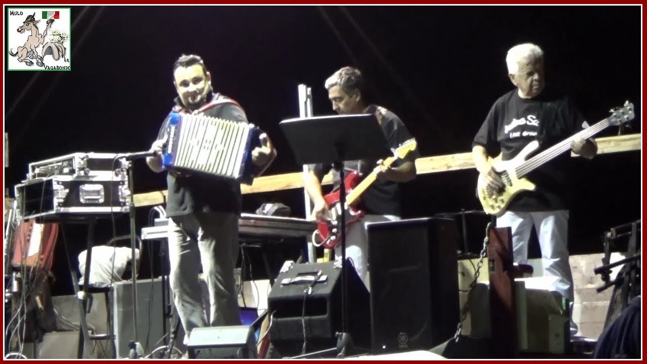 6) Renato Bertone - La Pizzicata - 18° Revival delle Fisarmoniche, Monghidoro 2014.