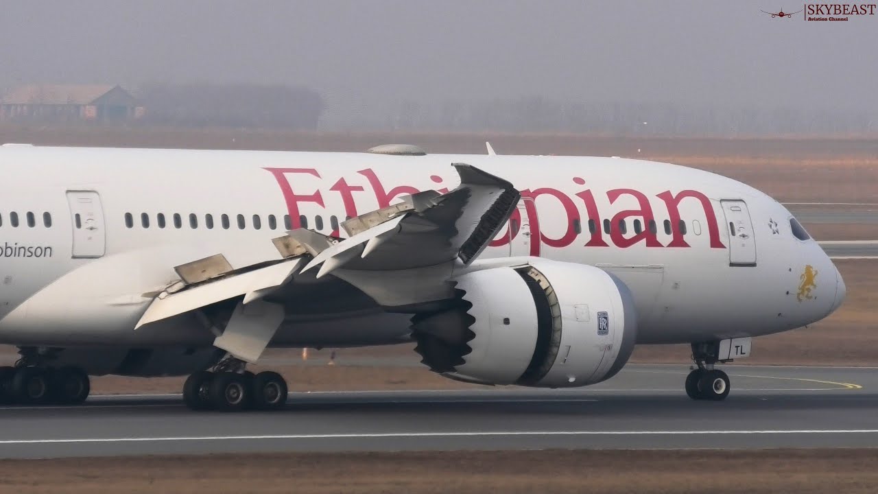FOG & FREEZING Temperatures | Early Morning 4K Planespotting at Vienna Airport 🇦🇹