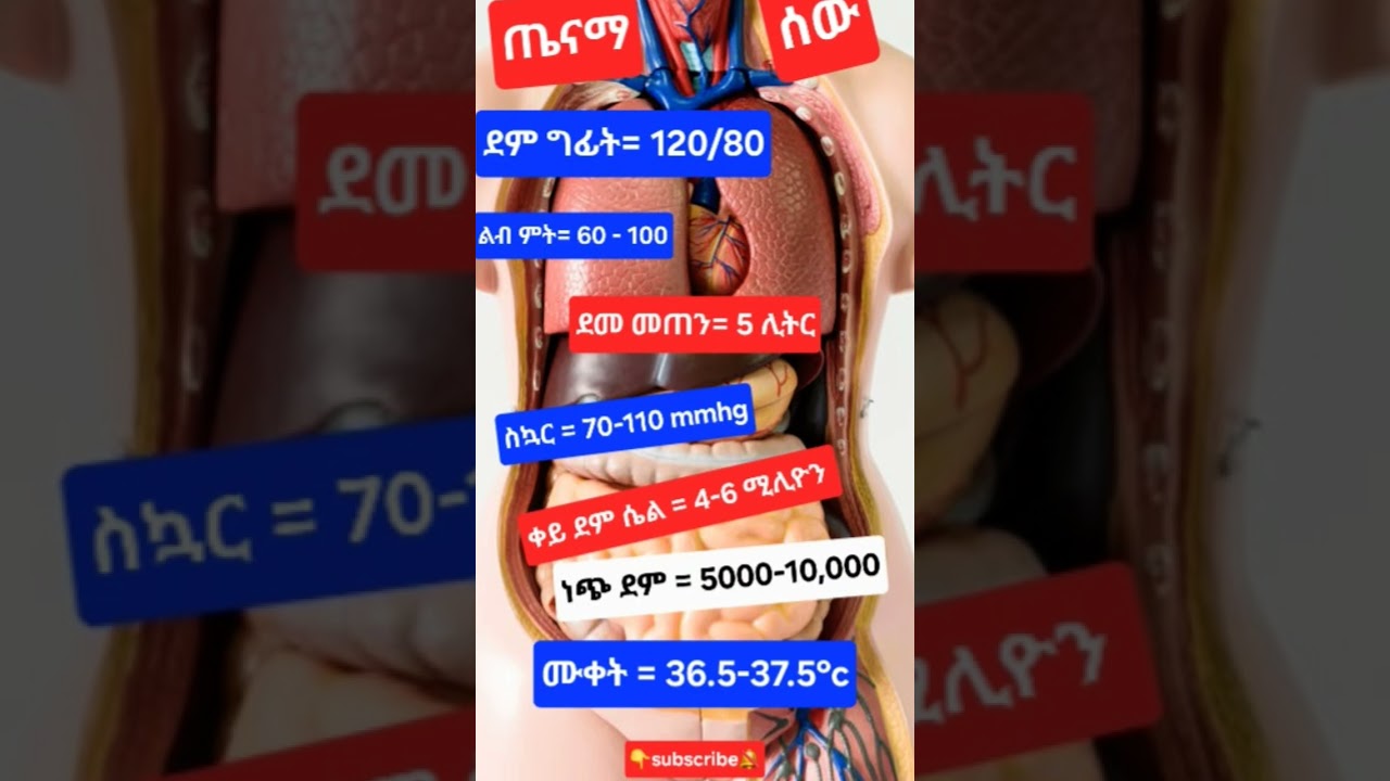 ጤናማ የሰውነት ልኬቶች normal body parameters #vitalsigns  #blood #heartbeat #health #ethiopia #biology