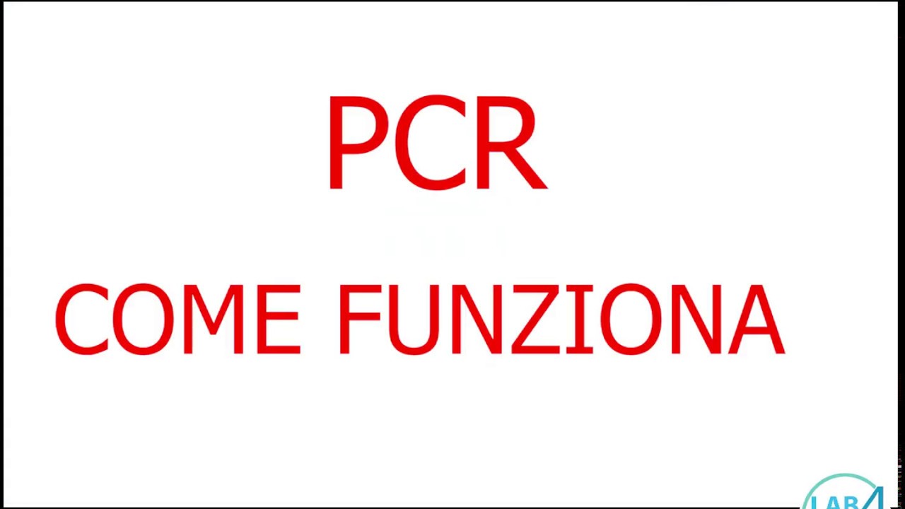 PCR - COME FUNZIONA l'analisi del DNA