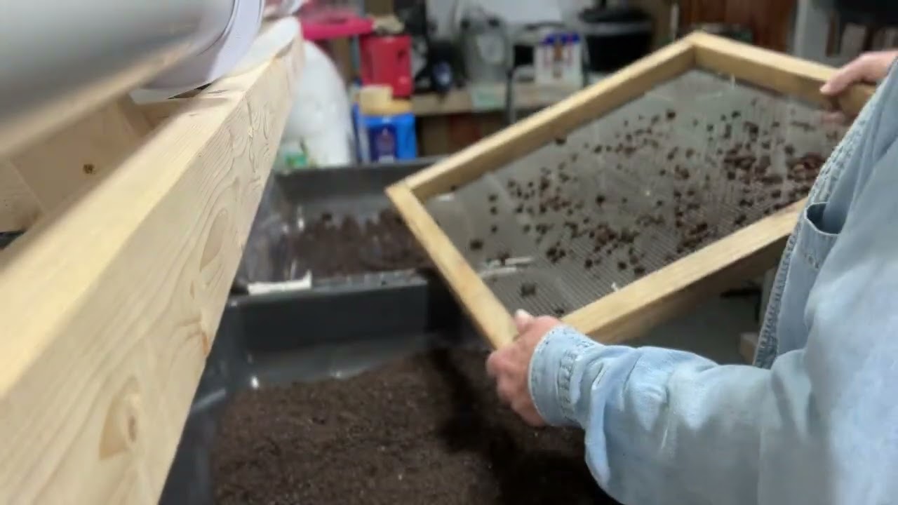 «Второй урожай», не смейтесь, я всё улажу!