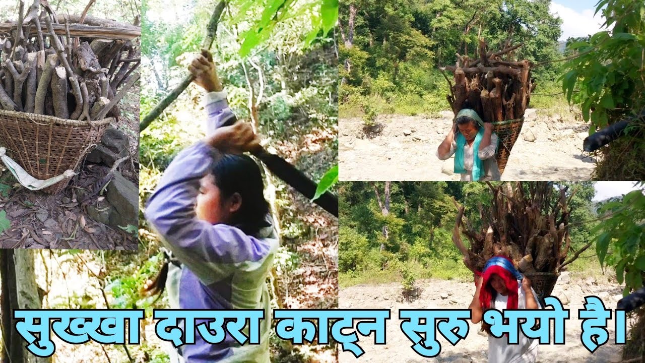 Baguwa KO jungle ma sukkha daura paunu garo paryo/jungle vlog//#newvlogs #keepsupporting 