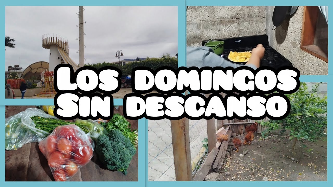 Los domingos sin descanso 😢😔😢|Enchiladas de semilla de pipian 😋🧑‍🍳