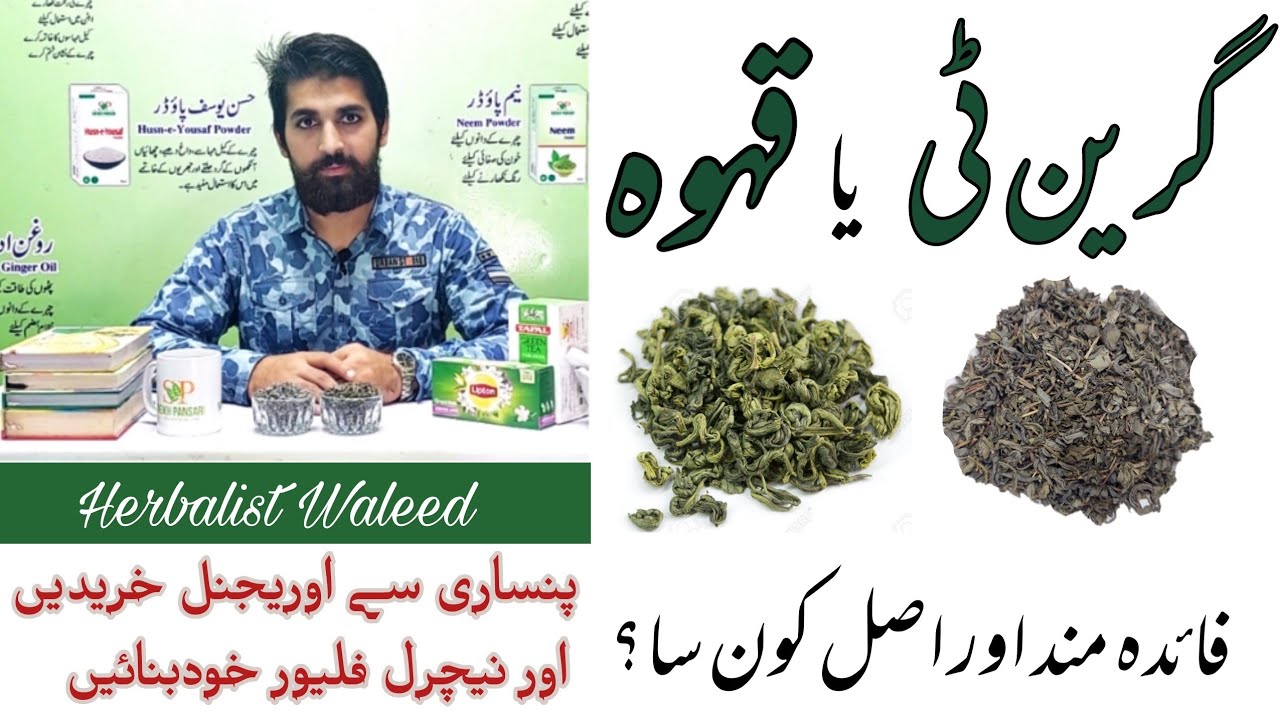 Green Tea or Green Kehwa who is Best & Original? Benefits in Urdu/Hindi