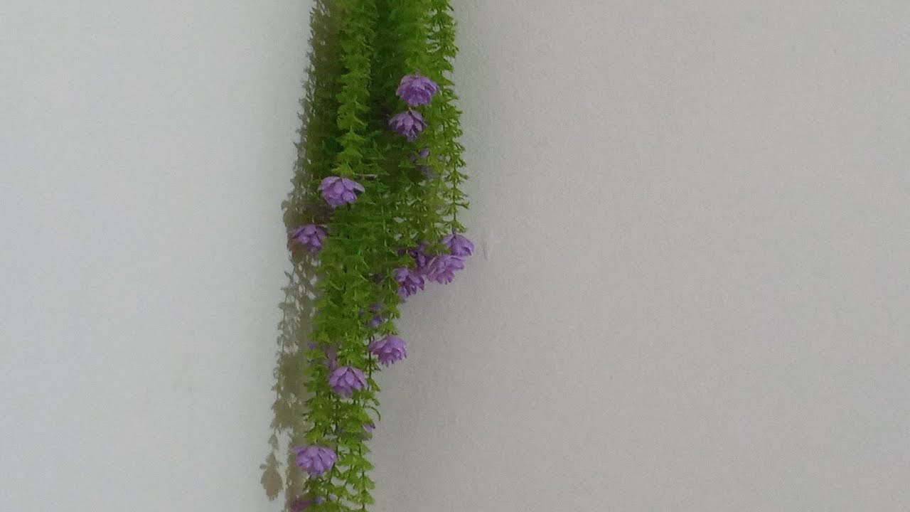 ২০ লাখ নেকির দোয়া