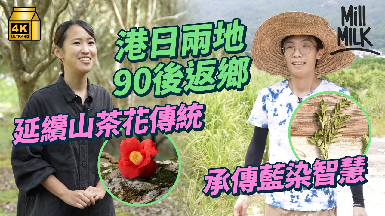 #MM｜90後港男務農為做藍染職人 去馬鞍山、大埔尋香港原生馬藍返元朗種；90後日本女生做農夫唔做白領 到東京偏遠利島 繼承300年山茶花技術｜#700萬種生活 #4K