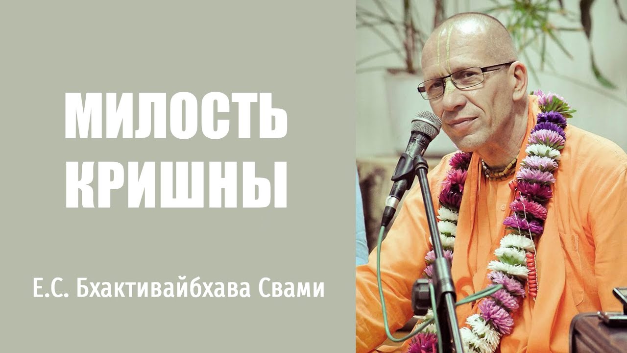 Милость Кришны –  Е.С. Бхактивайбхава Свами