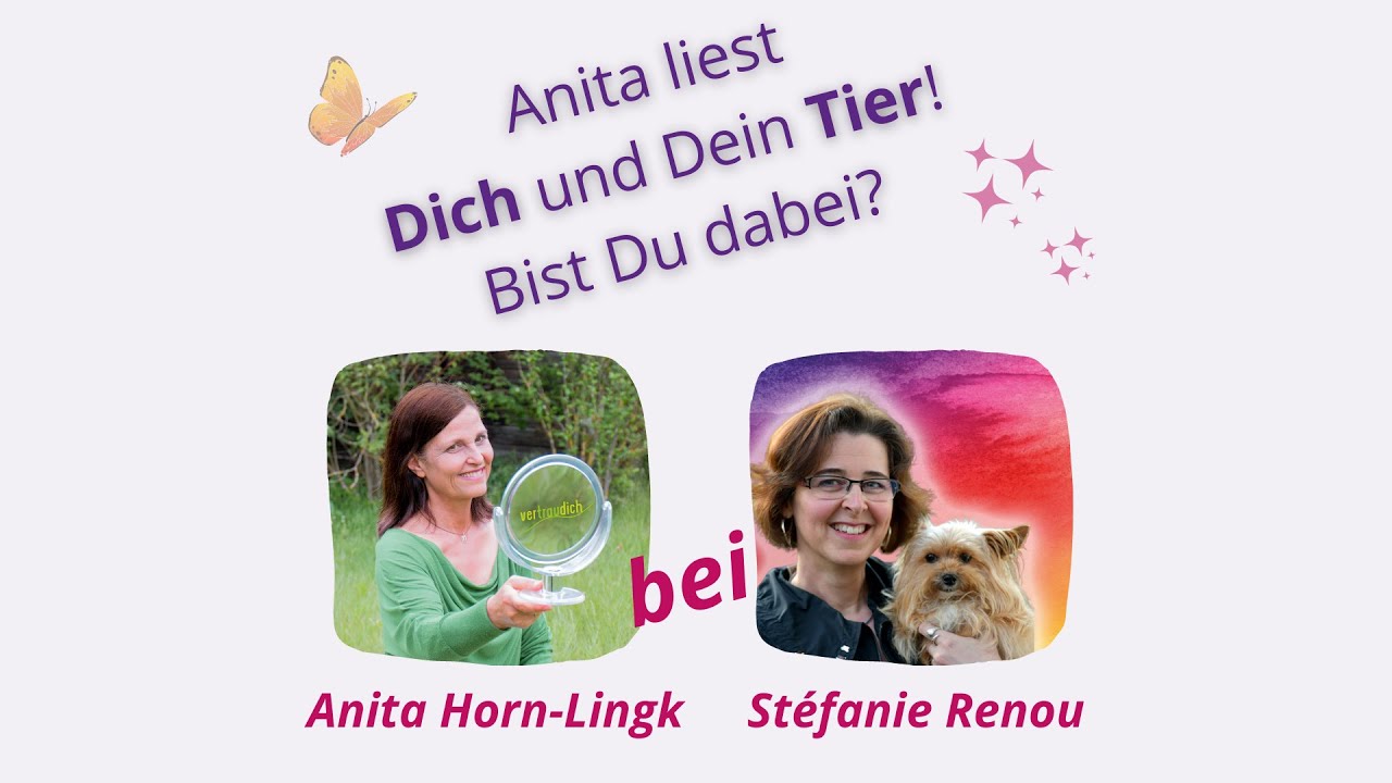 Tierkommunikation &ndash; Tiere verstehen und lesen mit Face-Reading ✨