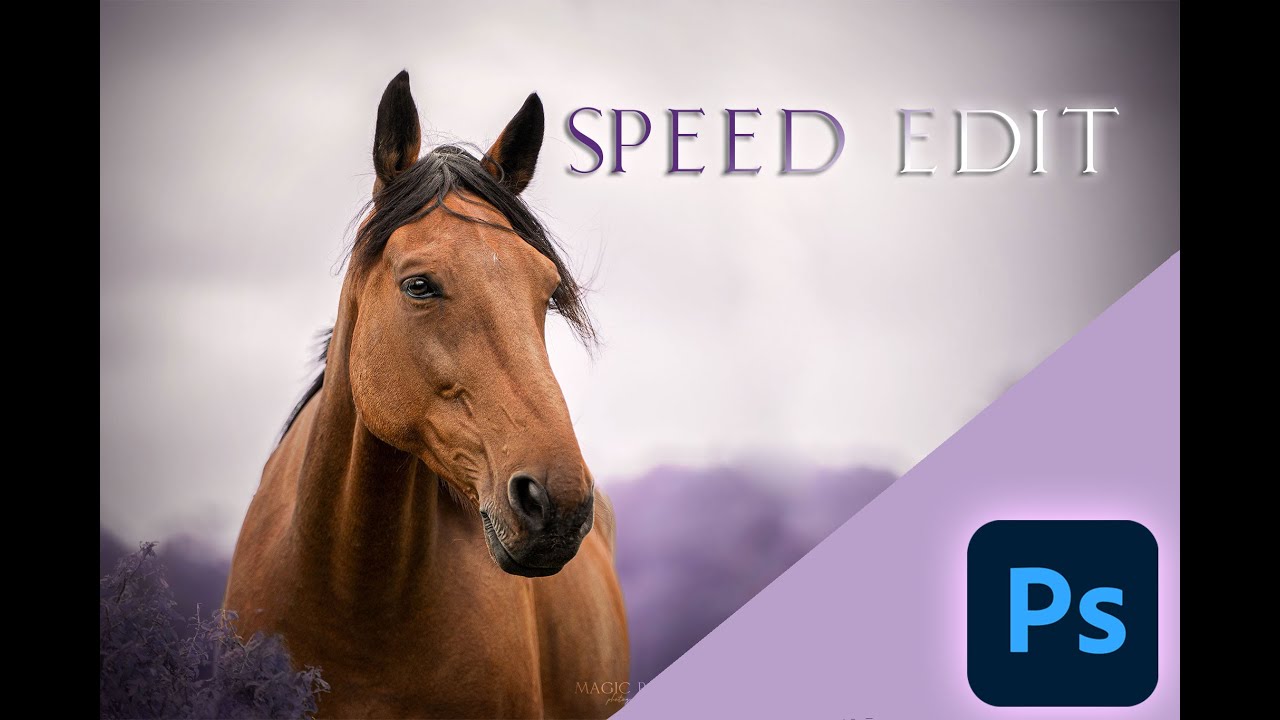 SPEED EDIT - EQUINE PHOTOGRAPHY [PHOTOSHOP]