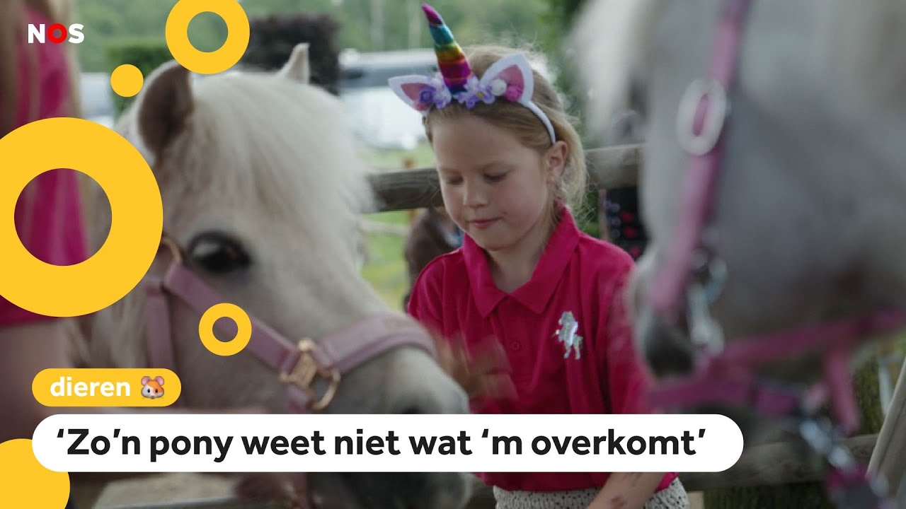 Zorgen om pony's met glitters of verkleed als eenhoorn op kinderfeestjes