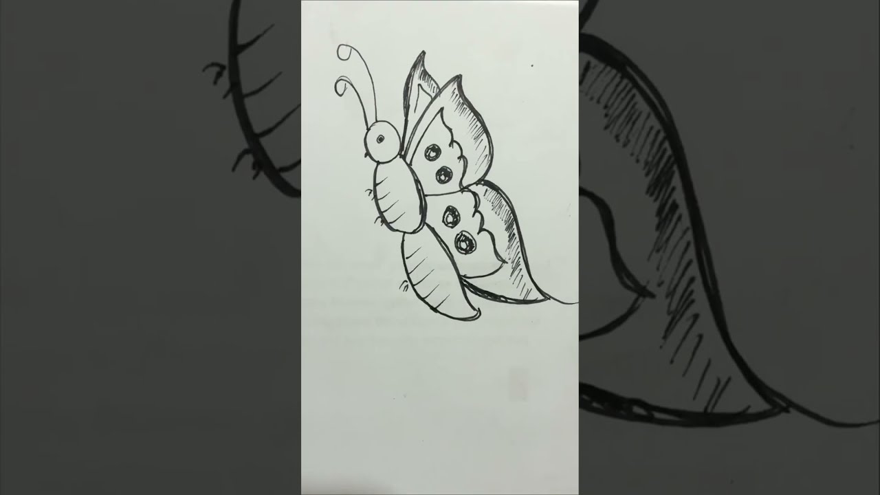 Easy drawing butterfly/How to draw butterfly easily/drawing for kids and beginners /drawing with pen