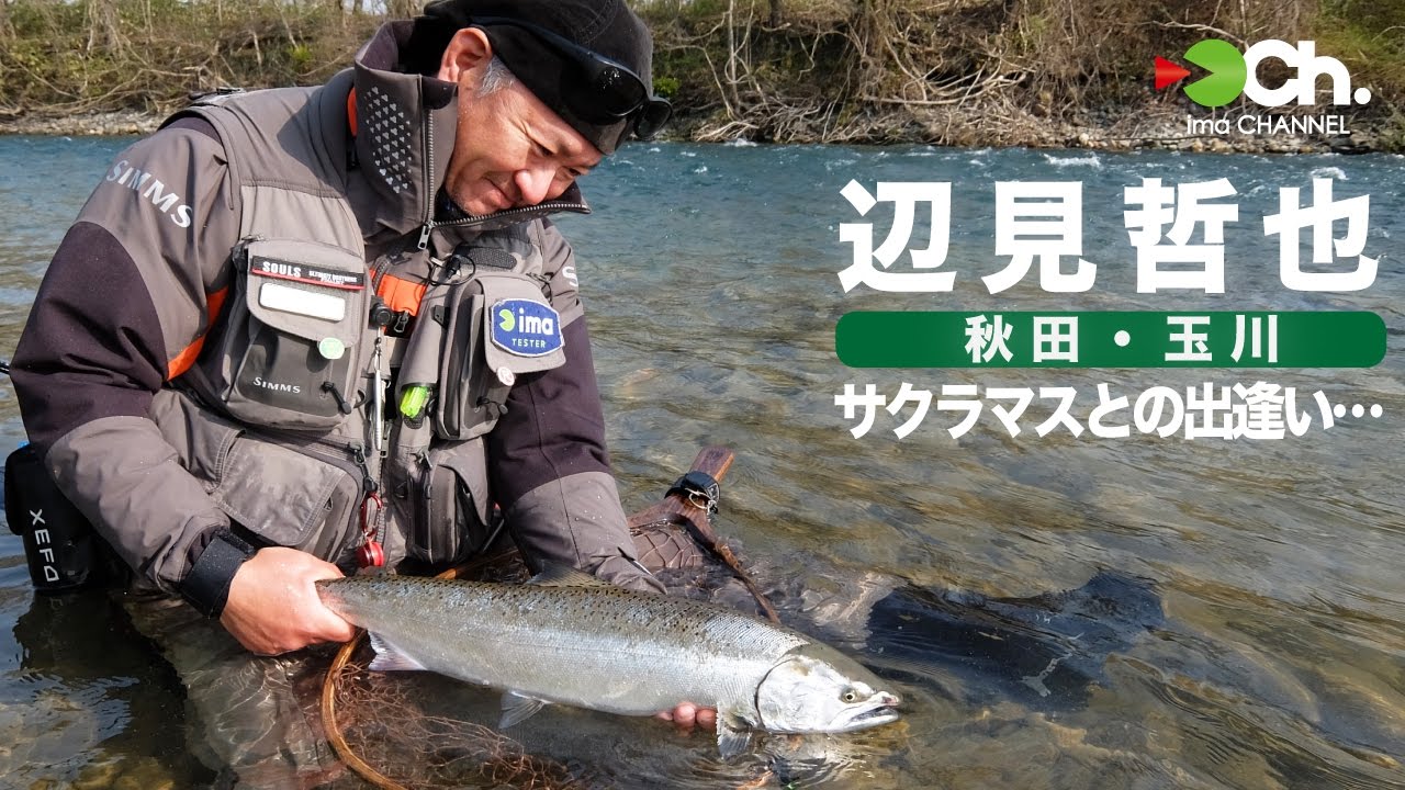 辺見哲也 秋田サクラマスとの出逢い･･･