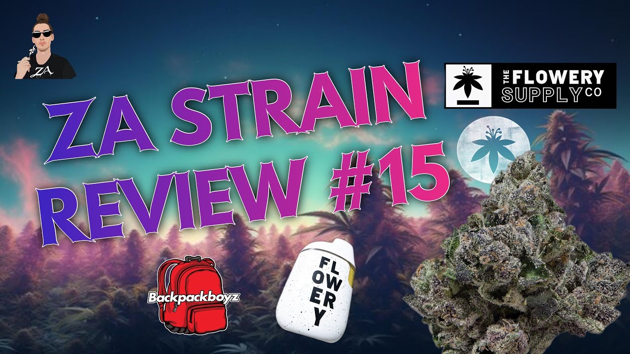 ( STRAIN REVIEW #15 ) GUAVA 🍬 BY @OFFICIALBACKPACKBOYZ *1G LIVE RESIN VAPE🔥*