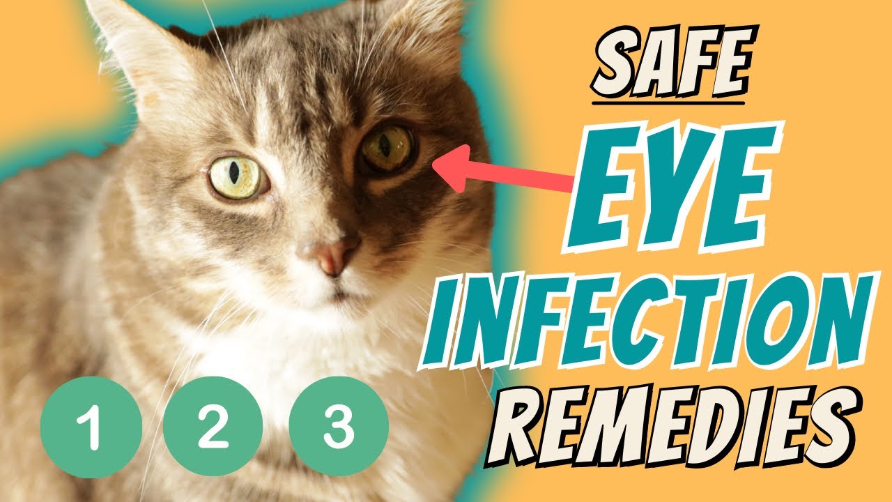 Eye Infection Home Remedies
