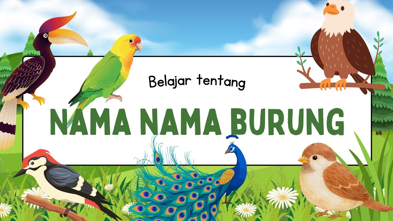 BELAJAR MENGENAL NAMA NAMA BURUNG
