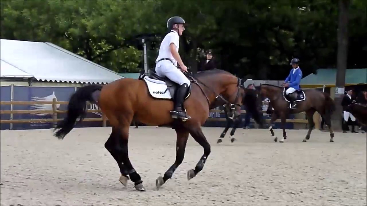 Marcus Ehning, Comme Il Faut, paddock Paris Eiffel Jumping 2017 (friday)