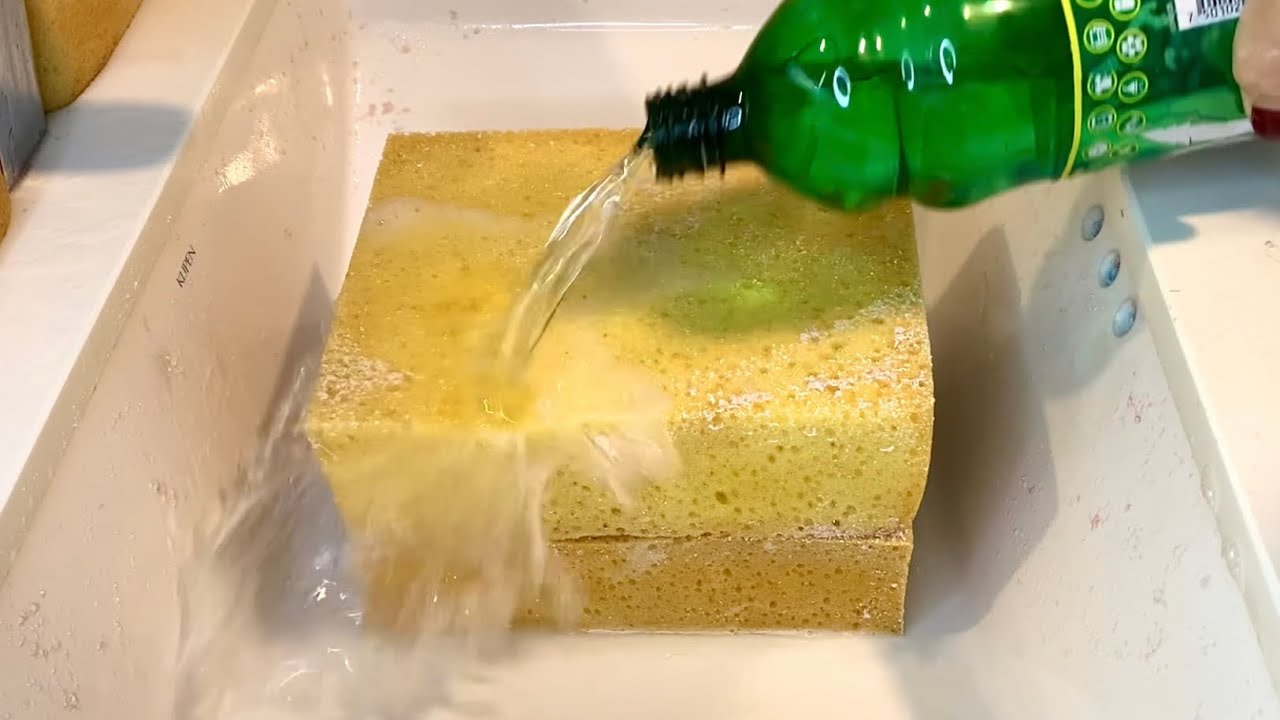 ✨RINSING BLEACH SPONGE BOBS✨ WITH PINOL🌲 + HOT WATER💦 - sponge ASMR