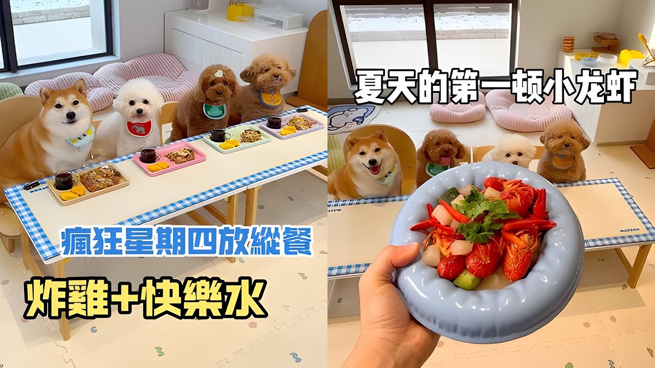 炸鸡+快乐水！#安静的布丁妹妹