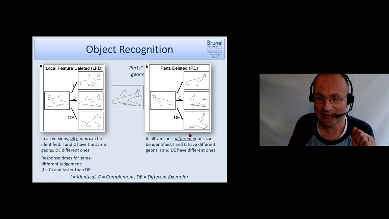 Cognitive Psychology Lecture 02 - Part 5 (Object Recognition)