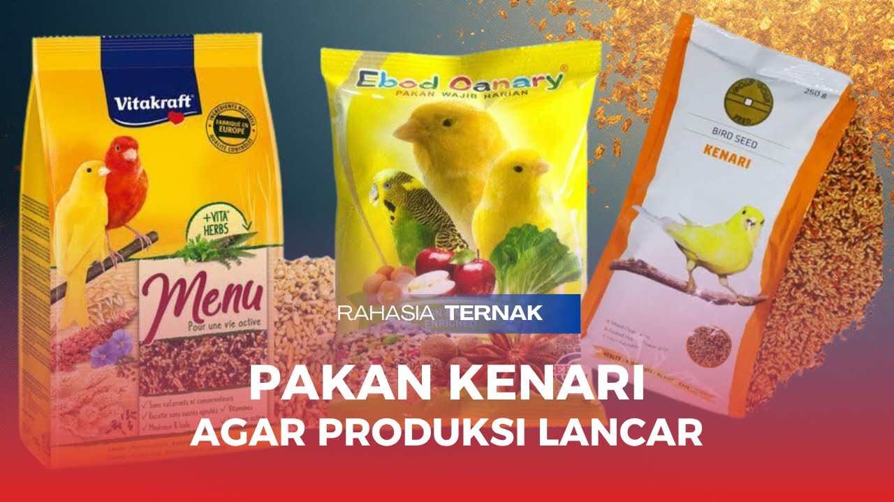 PAKAN TERNAK BURUNG KENARI #ternakkenari #kenari