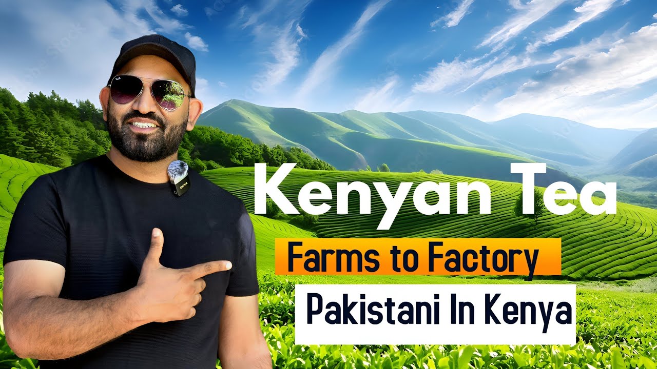 This Is How Your Tea Made It To Your Table  Farms to Factory 
