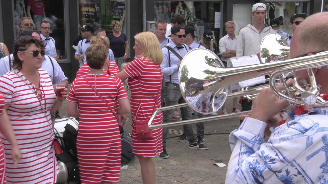De Blaasbalgen Leidschendam 17e Notenkrakers Zomerfestival Zevenbergen 24 juni 2018