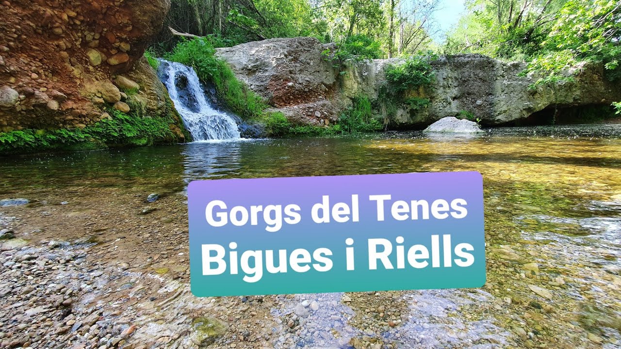 GORGS del TENES (Bigues i Riells, Barcelona)
