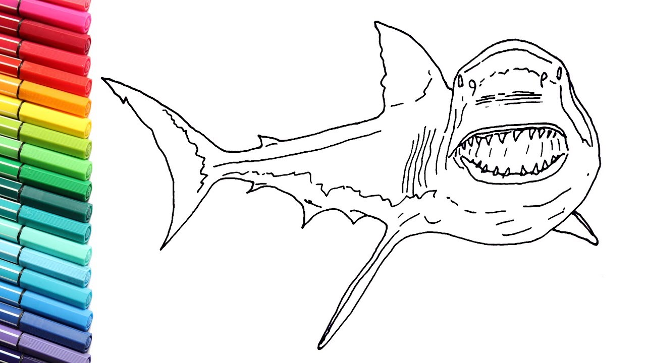 How to Draw the Great White Shark - Sea Monster Shark Color Pages for Children