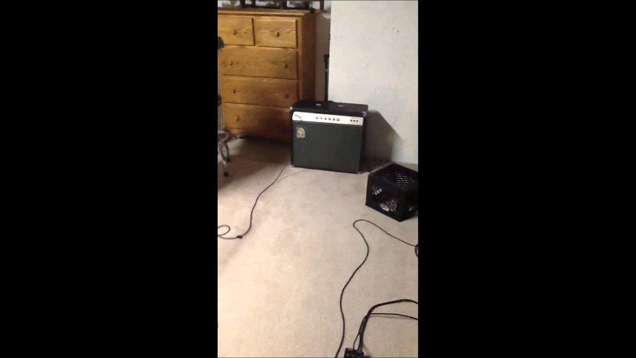 Ampeg Vt22