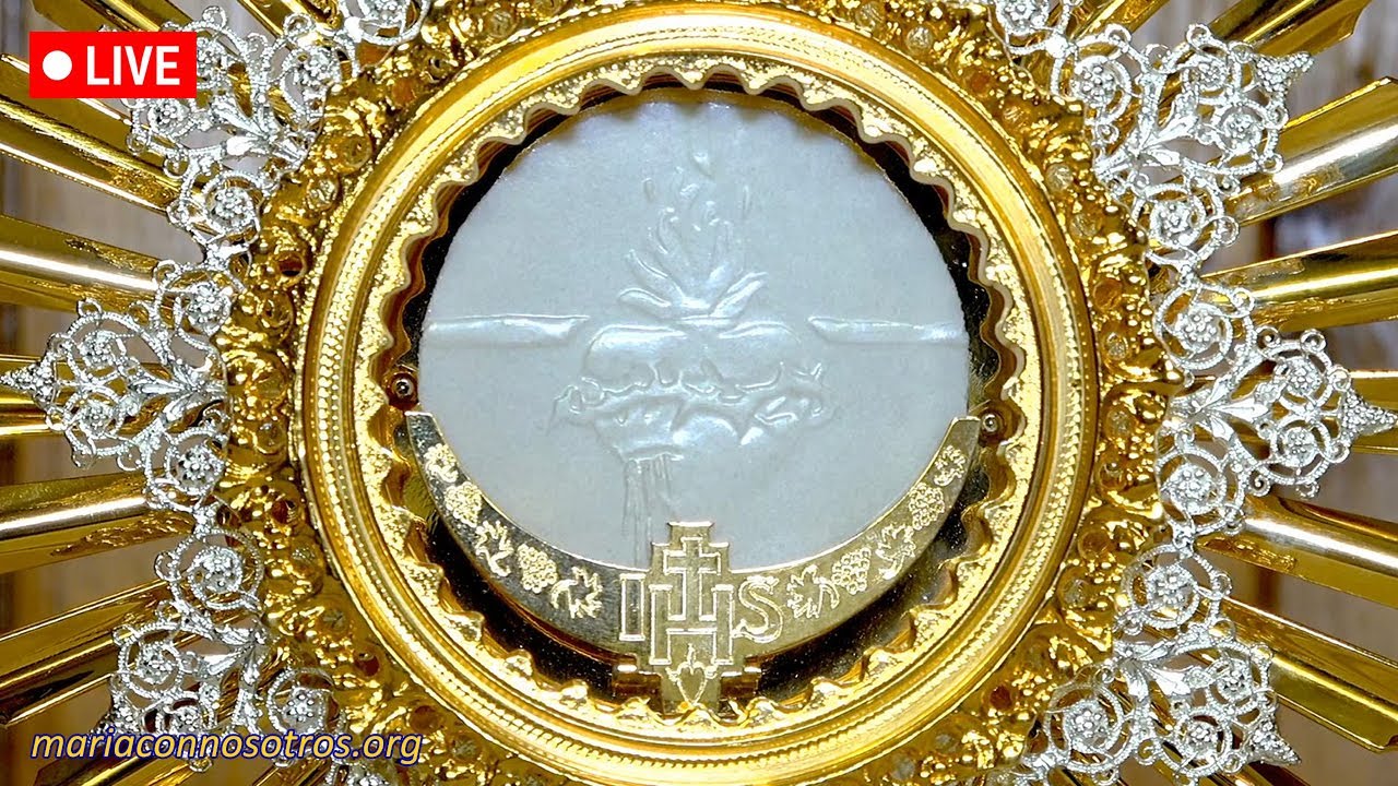 Perpetual Adoration Live / Live Eucharistic Adoration / Live Adoration of the Blessed Sacrament