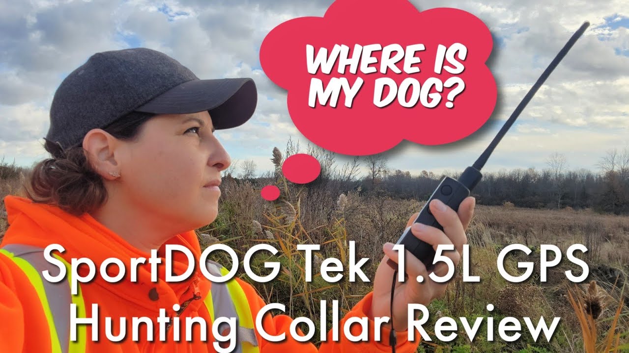 Review SportDOG Tek 1.5L GPS Hunting Collar