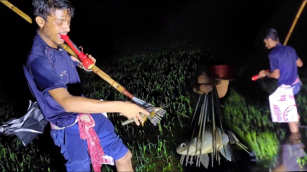 বর্ষার রাতে টেঠা দিয়ে বিলে মাছ শিকার/Bangladesh's Fishing Traditional Methods।