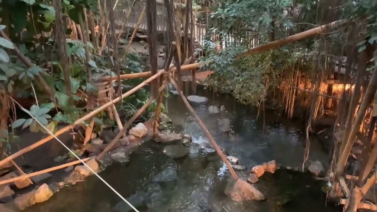 Center Parcs Het Heijderbos - Jungle Dome 2021