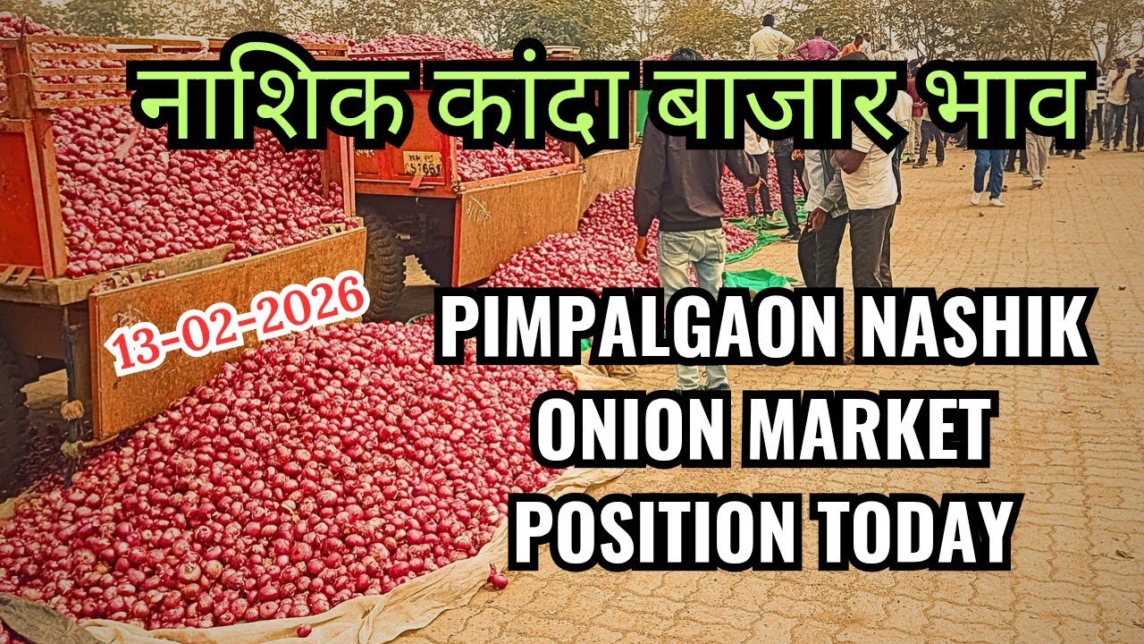 Nashik Onion Market Positions,  Rates and insights | GREEN SOURCE 13-02-2026