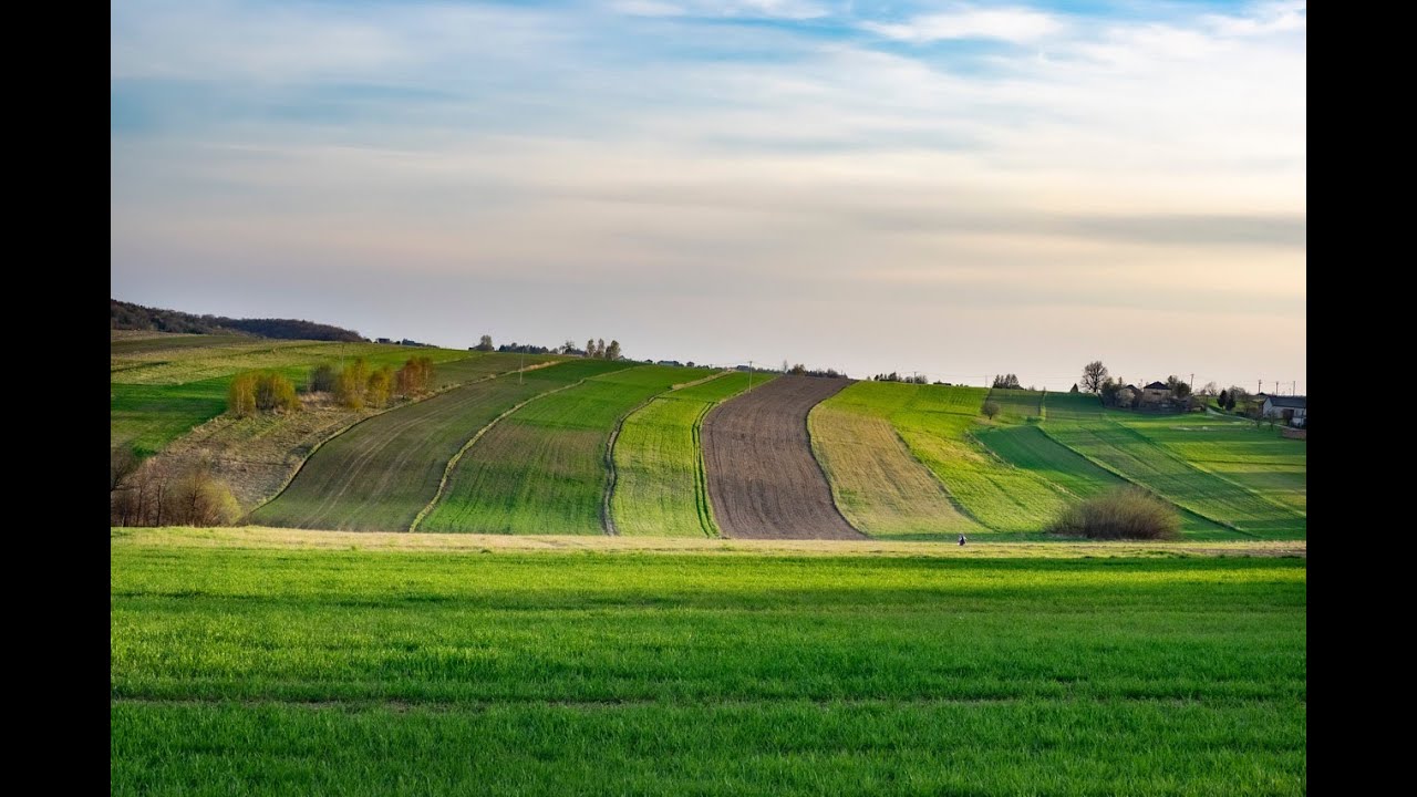 Izdavanje potvrda i izvoda  ( Vi&scaron;e ne važi )