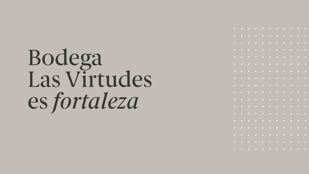 Bodega Las Virtudes - Nuestros vinos y aceites cooperativos