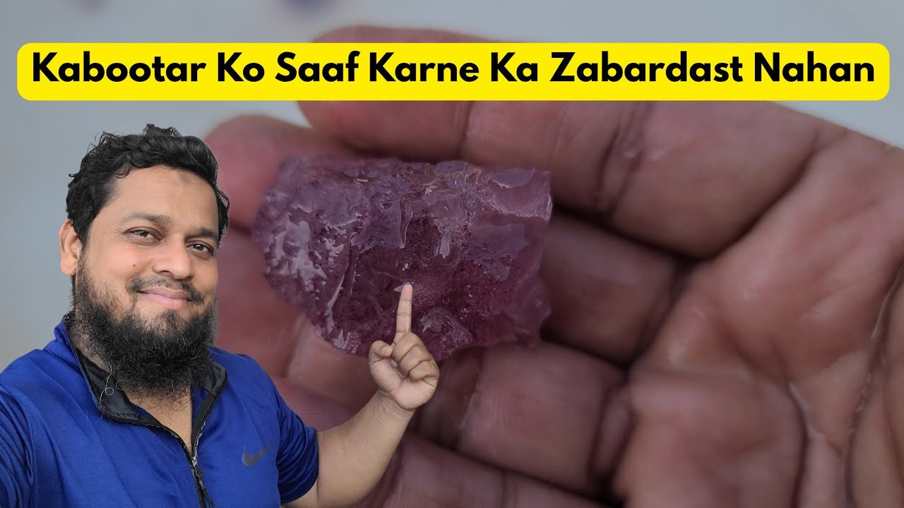Kabootar Ko Saaf Karne Ke Liye Shandaar Nahan ||@pigeonscarefactory5328 