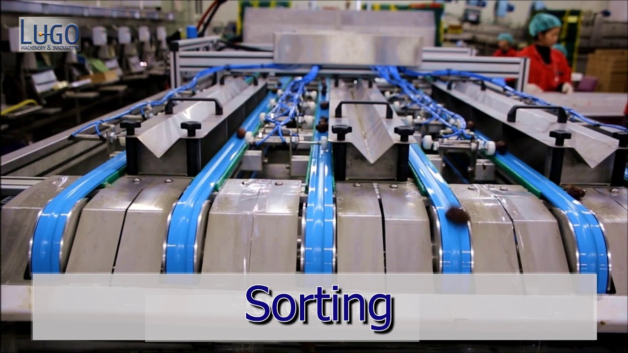 Dates Sorting Machine