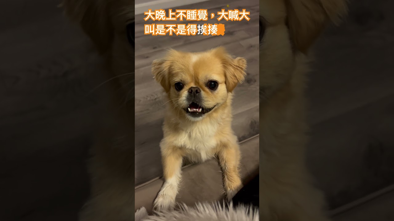 又是挨揍的一天￼